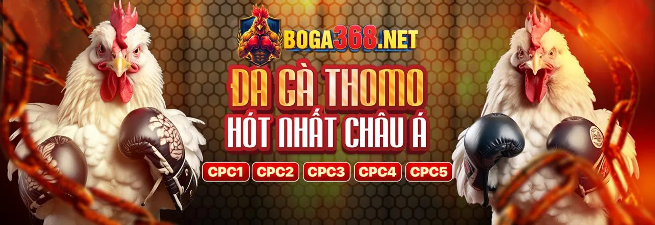Các trò chơi bài hấp dẫn khác